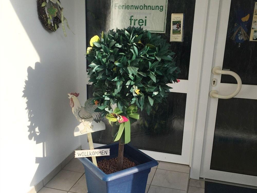 קוכם Ferienwohnungen Haus Zur Linde מראה חיצוני תמונה